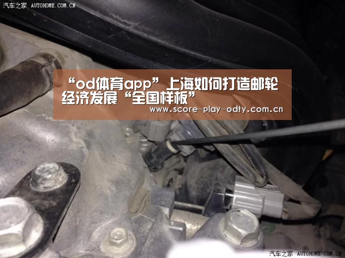 “od体育app”上海如何打造邮轮经济发展“全国样板”(图1) od体育app